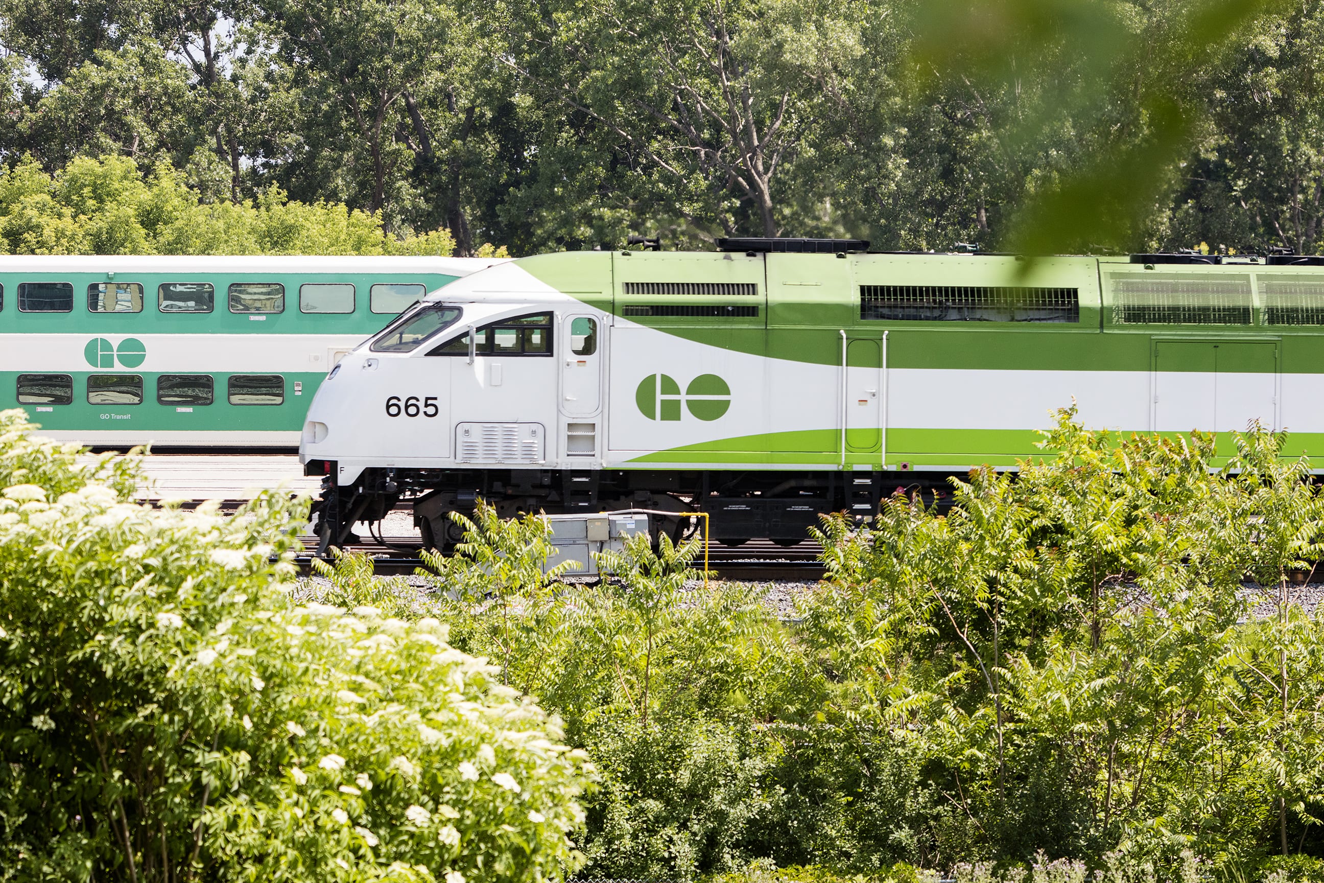 Lakeshore East Train Don Yards Cherry Street