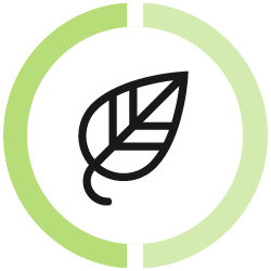 Transit Project assessment Process