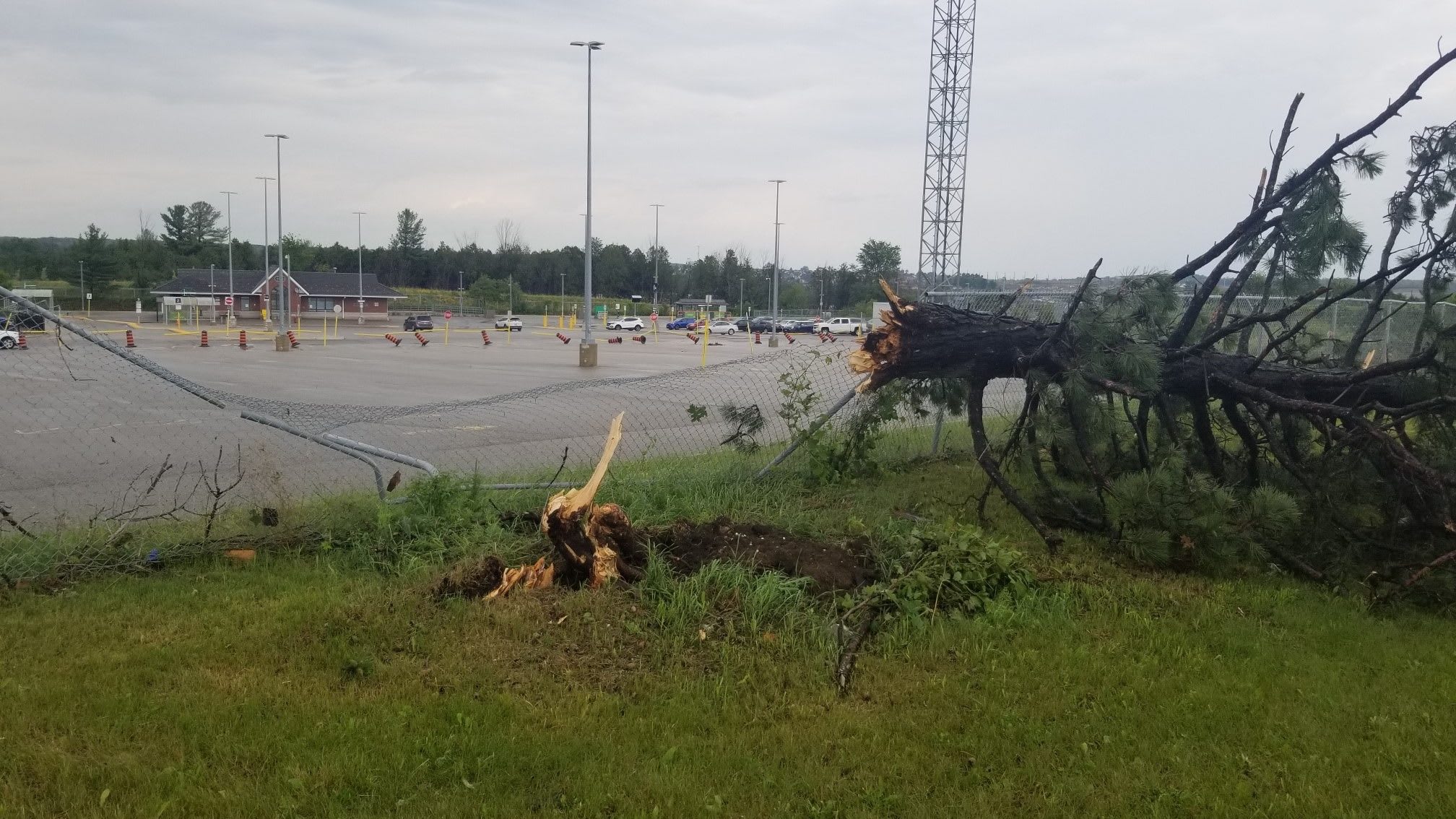 Image of a downed tree and busted fence.