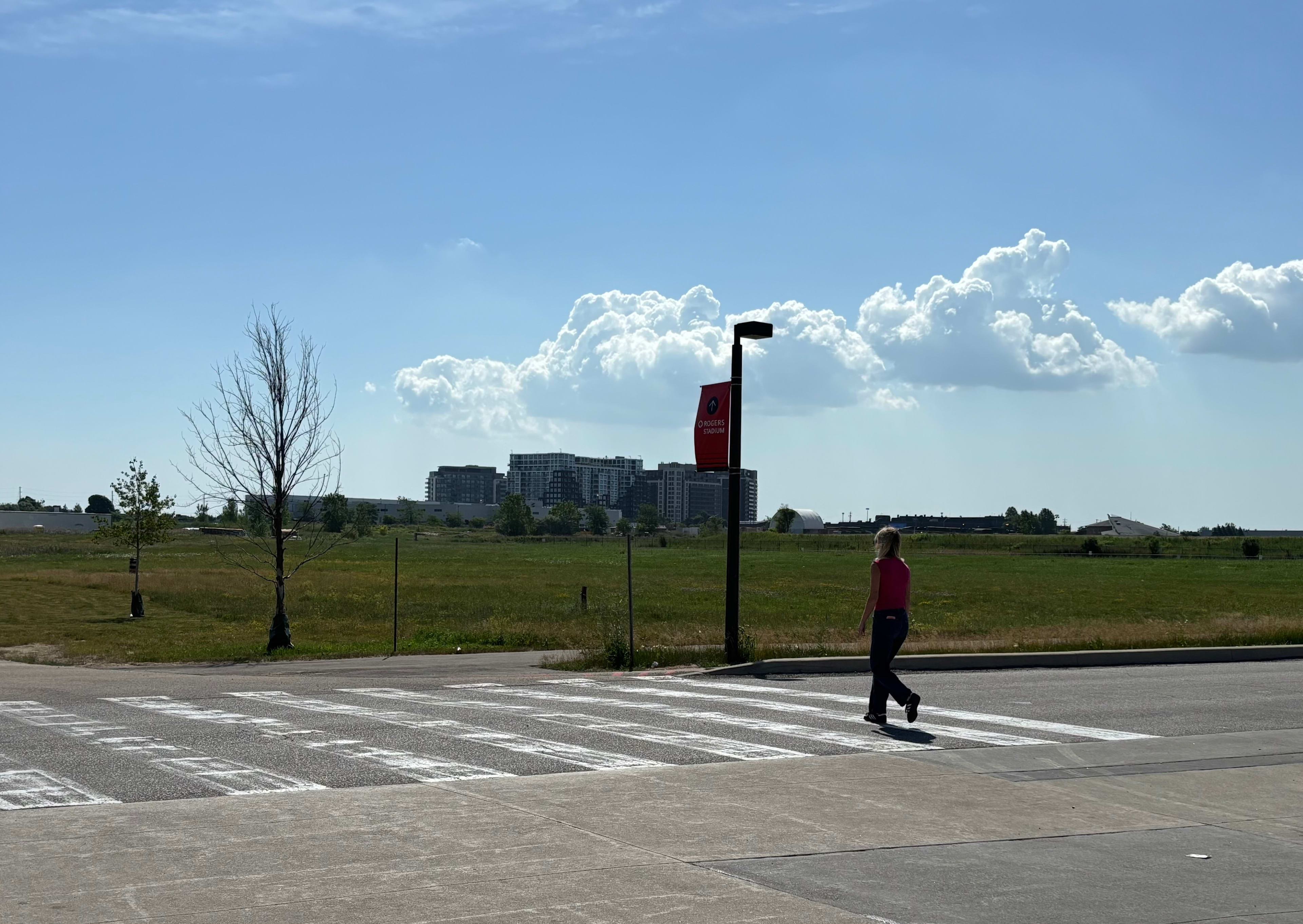Carl Hall Road Crosswalk