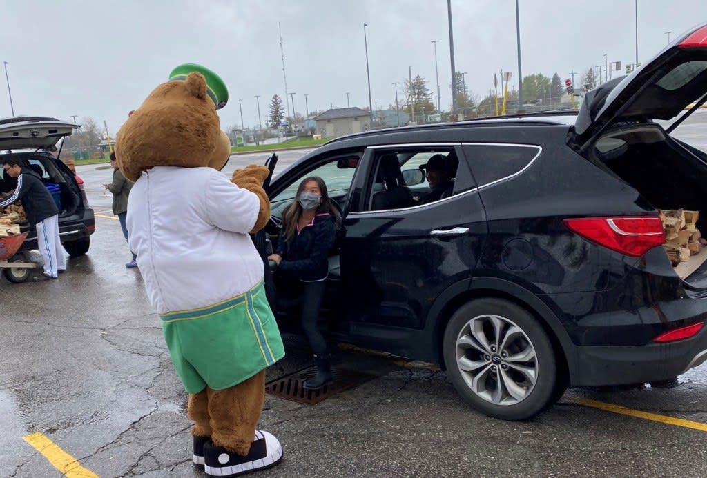 GO Bear is seen waving at a person in a car.