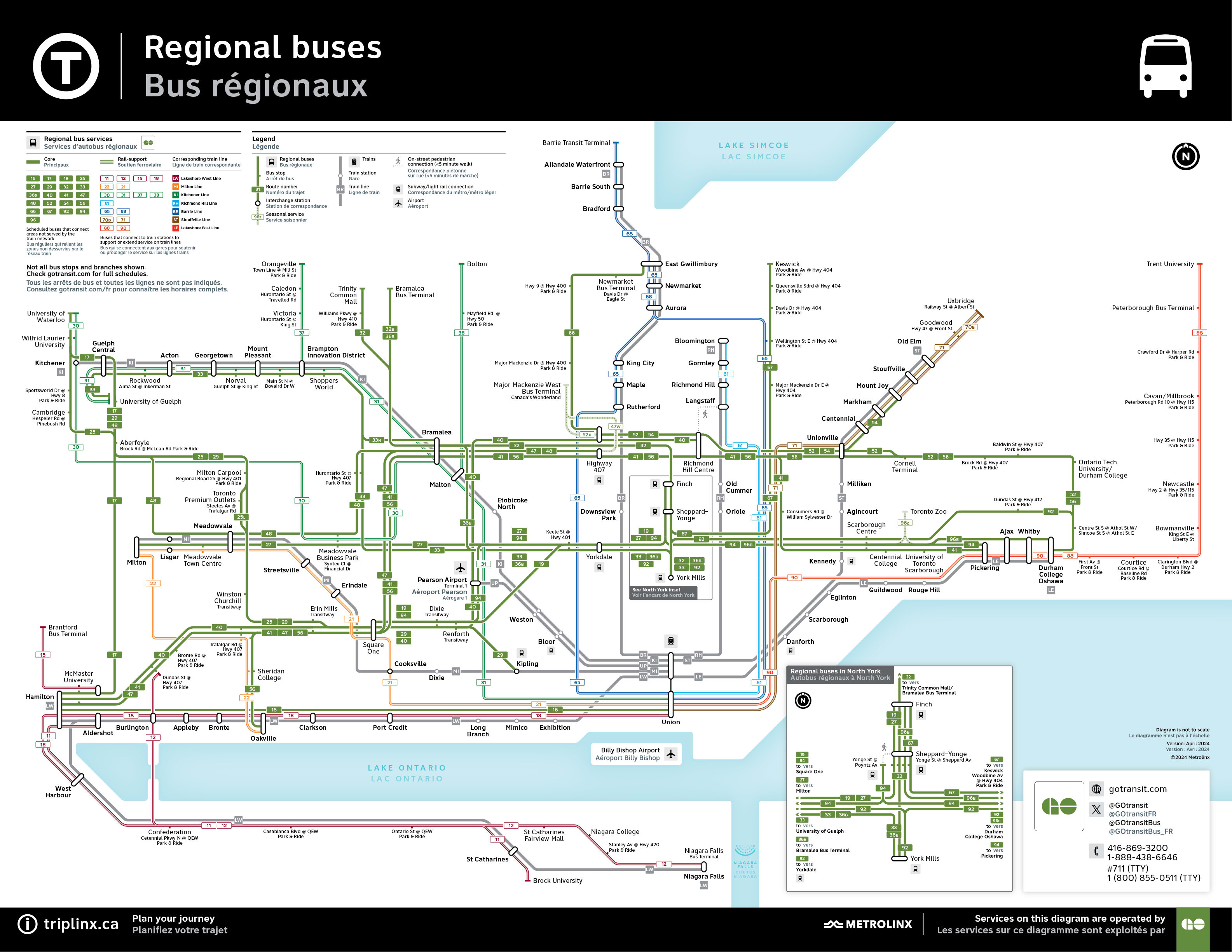 Go Bus network map March 2024