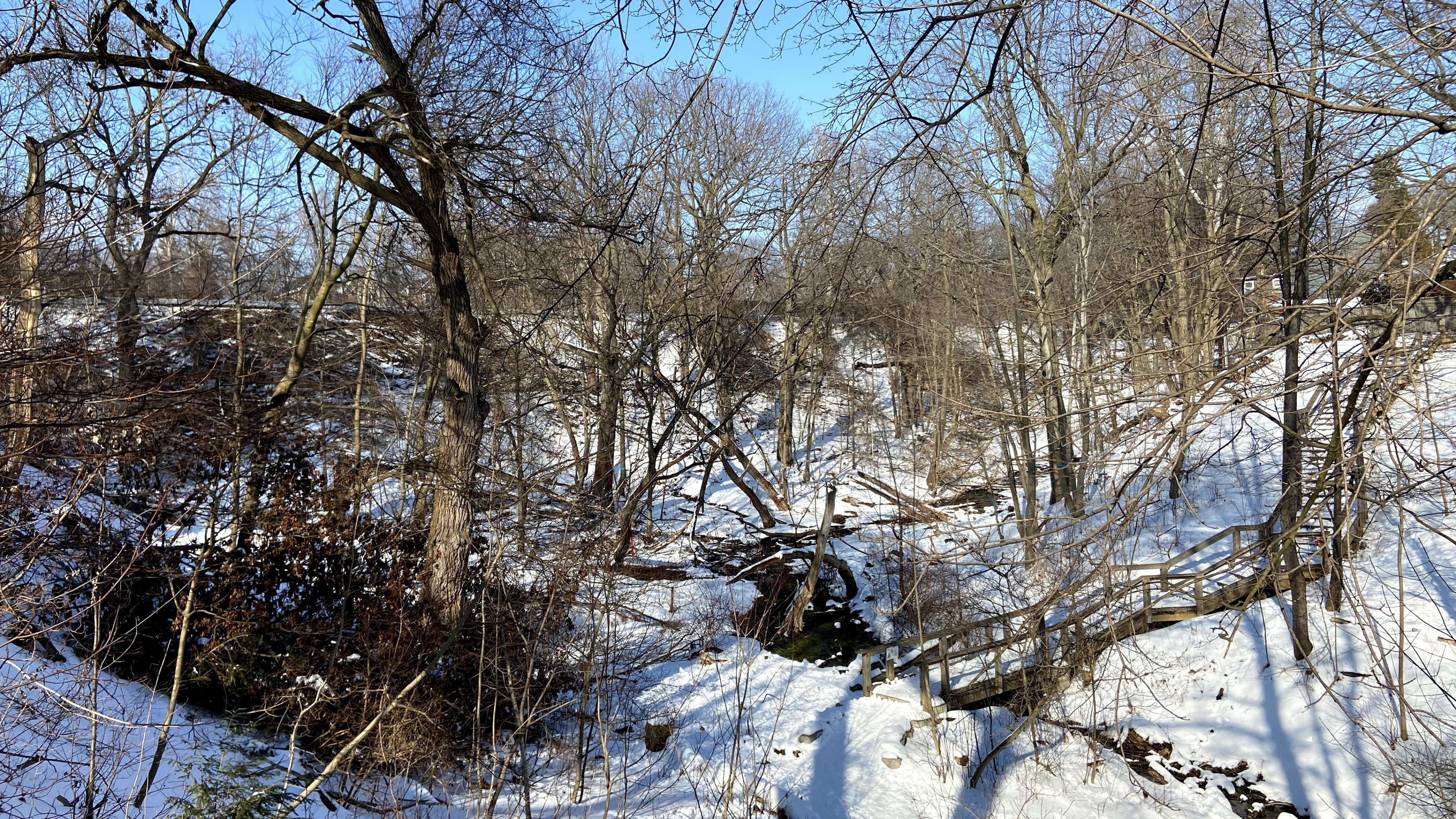 A stock image of the Small's Creek Ravine in winter