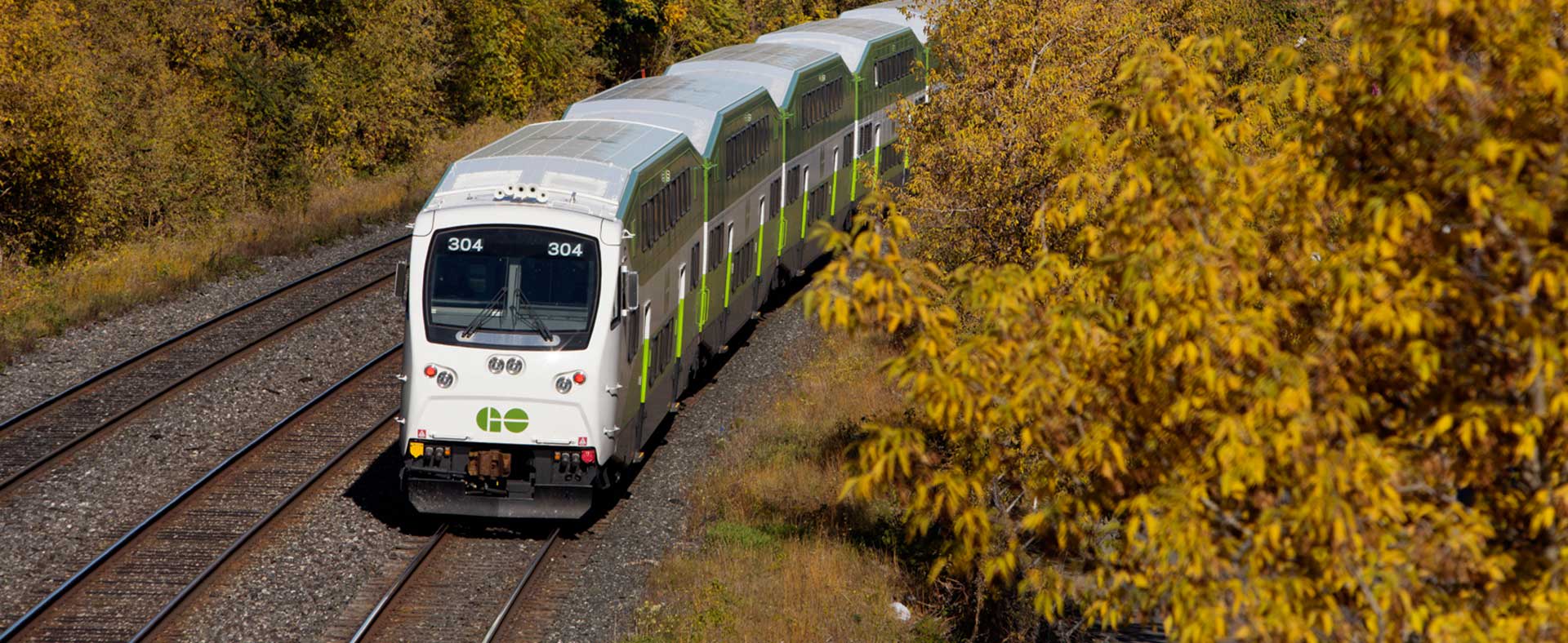 A green and white GO train going through a colourful wooded area.