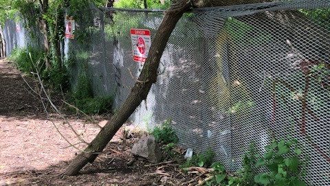 Metrolinx installing special fencing at a top GTA trespassing spot