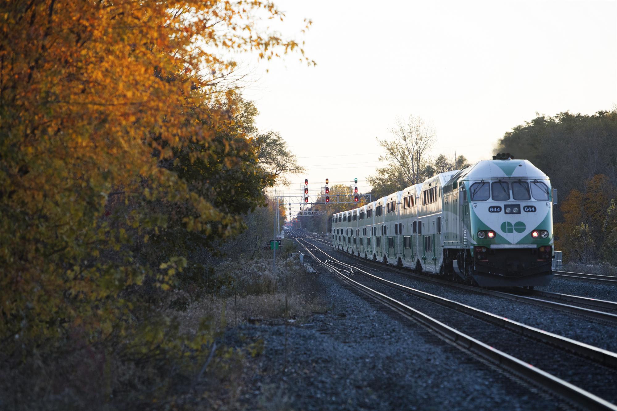 Train on the Lakeshore West Line