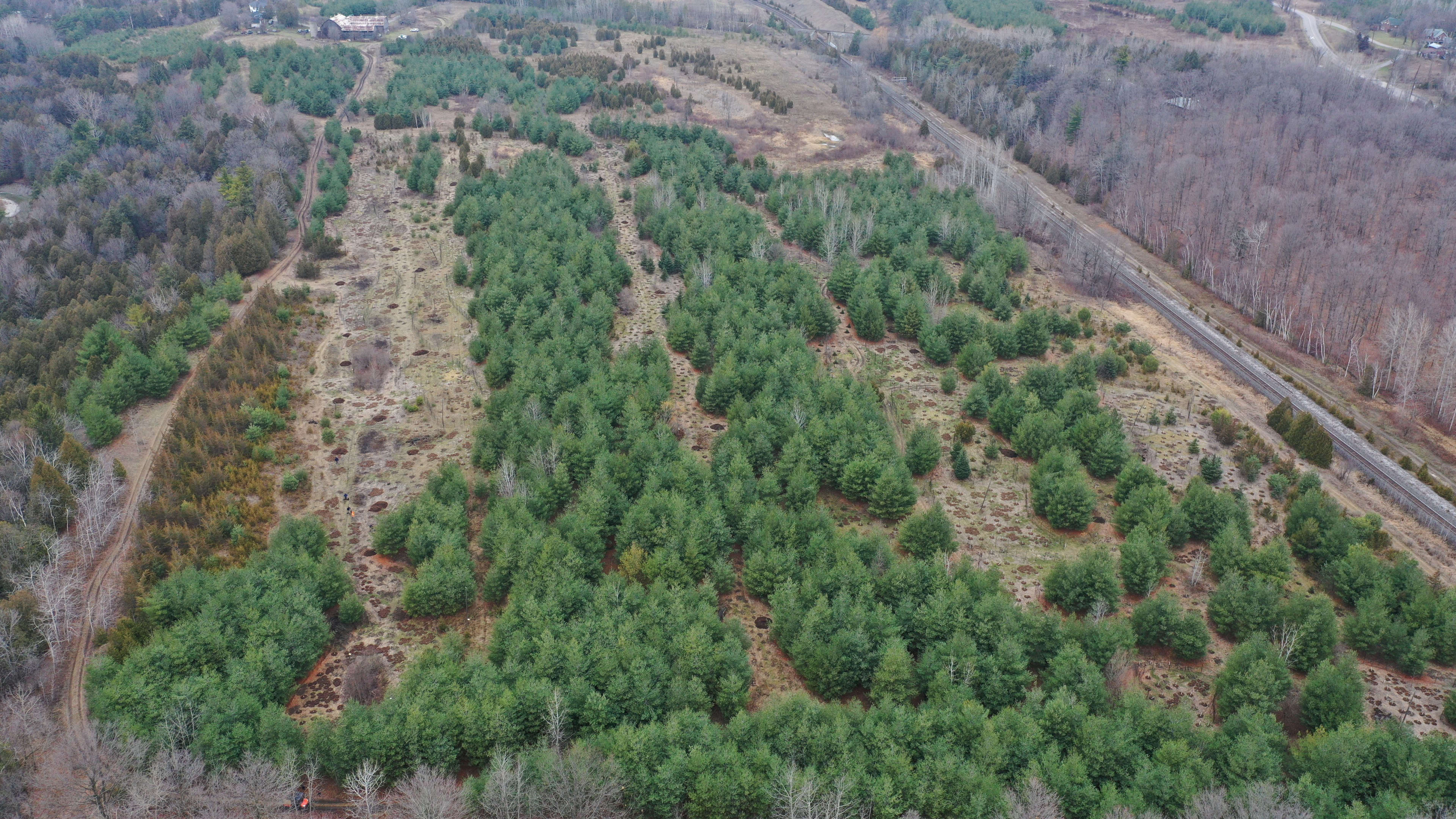 An aerial shot of the Rouge National Urban Park site where TRCA planted 4,773 trees and 7,700 shr...