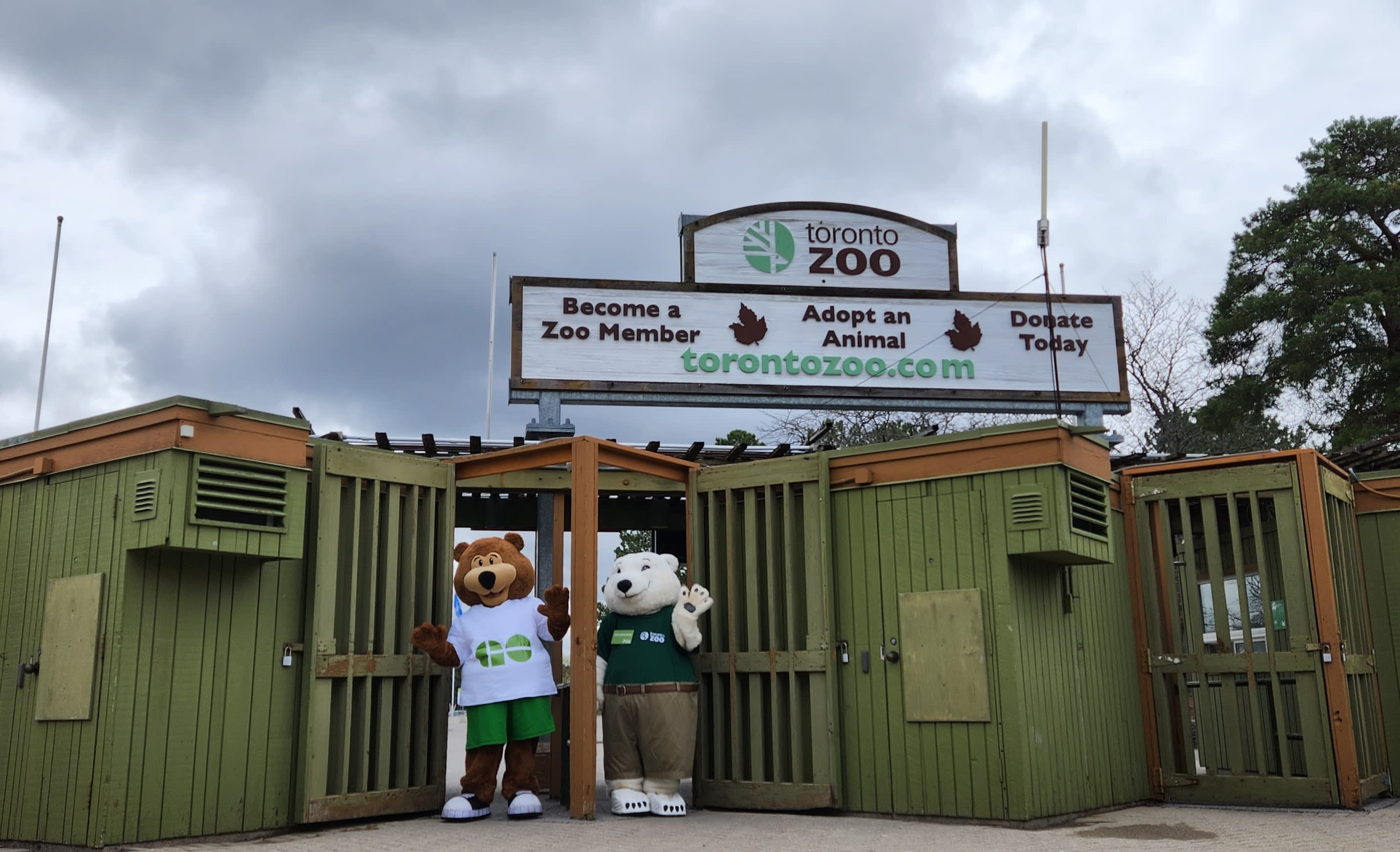GO Bear at Zoo