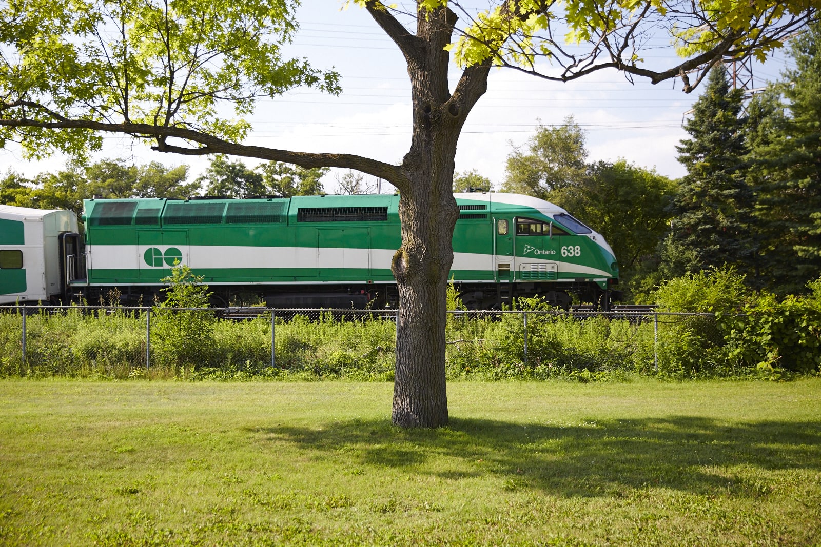 GO Train on Milton Line