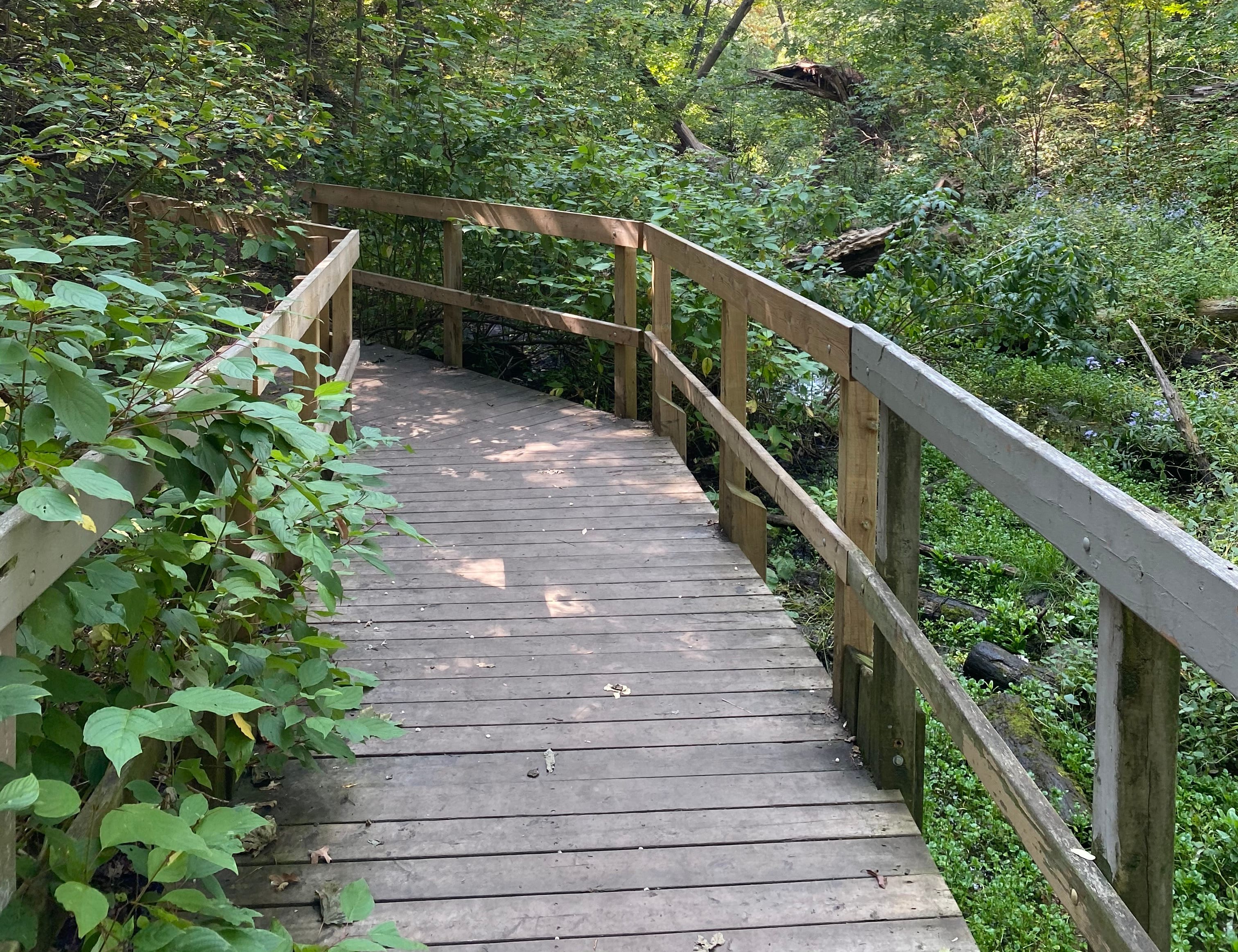 a boardwalk.