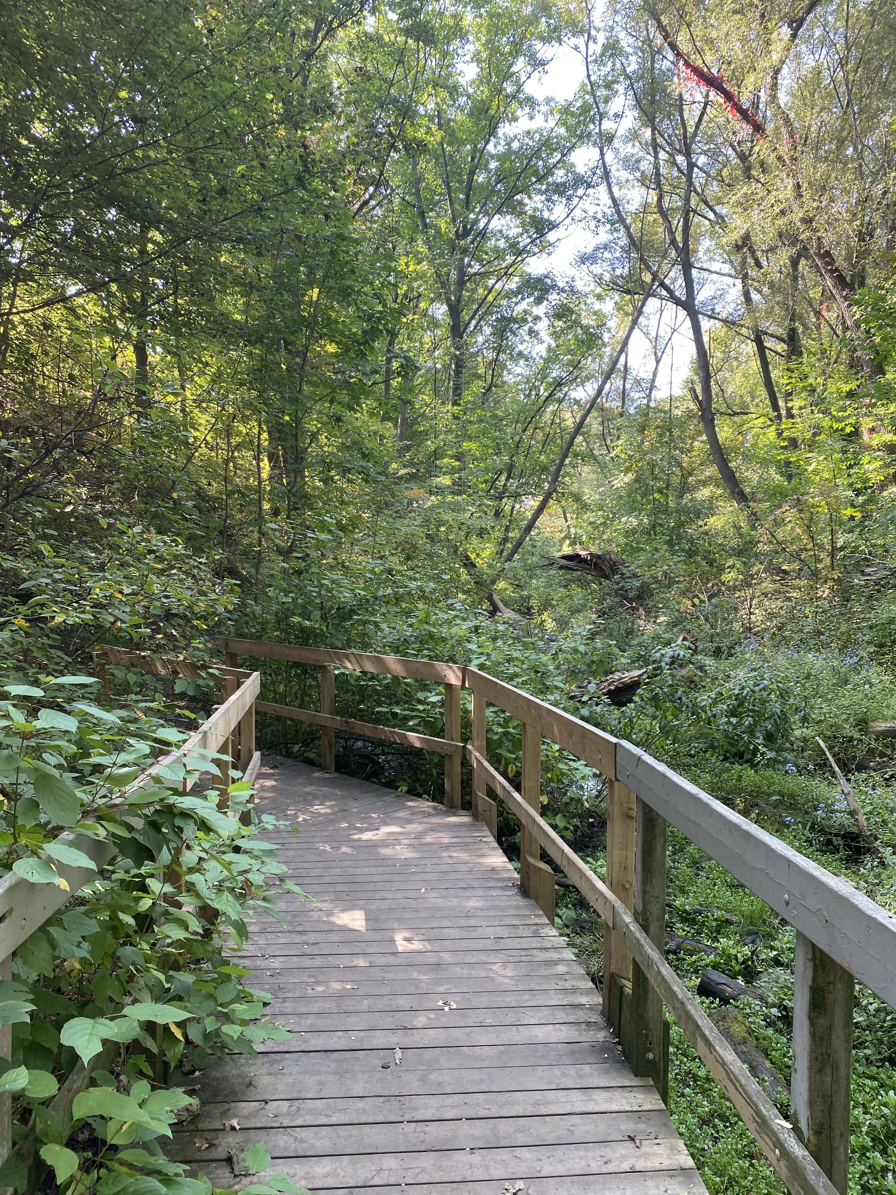 A boardwalk is shown in warmer months.