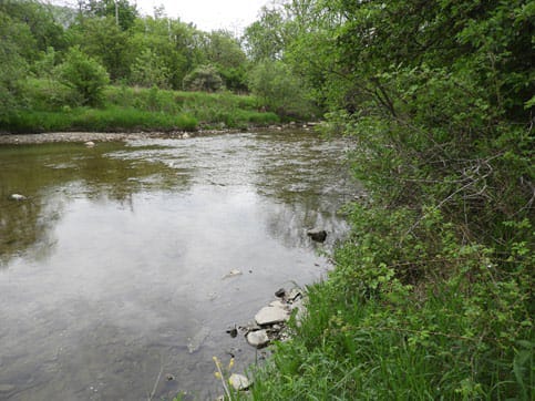 View of Etobicoke Creek looking downstream (south) from the bridge structure. A riffle exists dow...