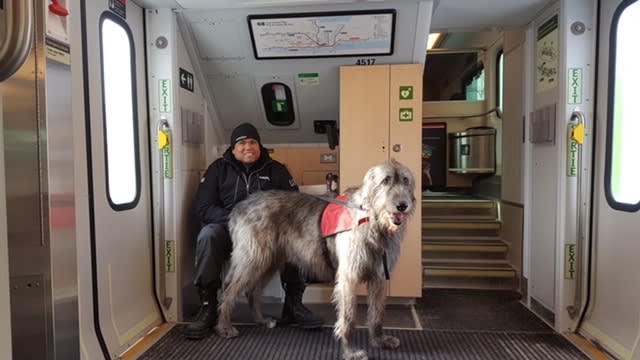 Icon, a large dog, stands on a GO train, with customer service advisor Jonathan Webb behind him.