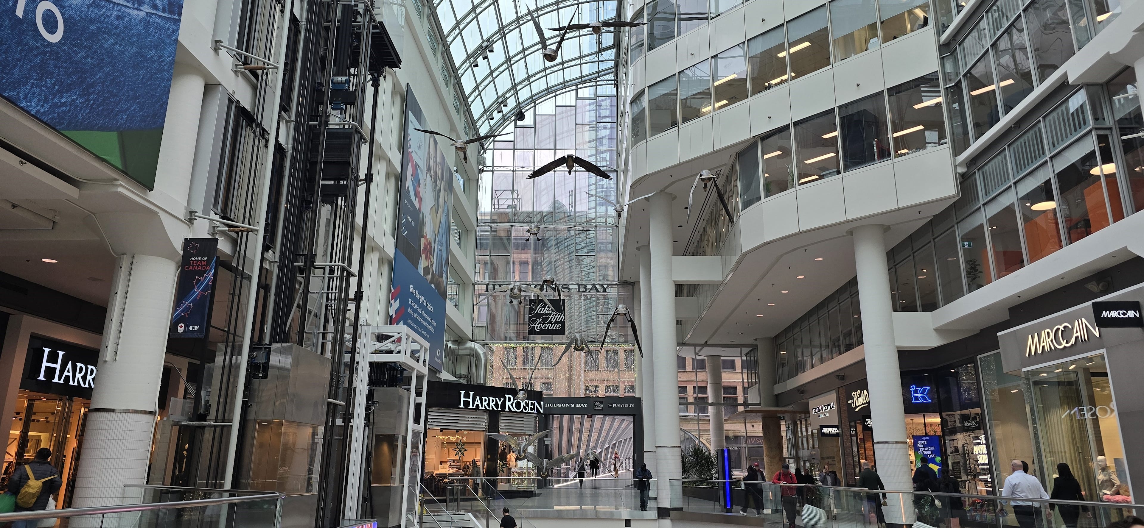 Eaton Centre banner image