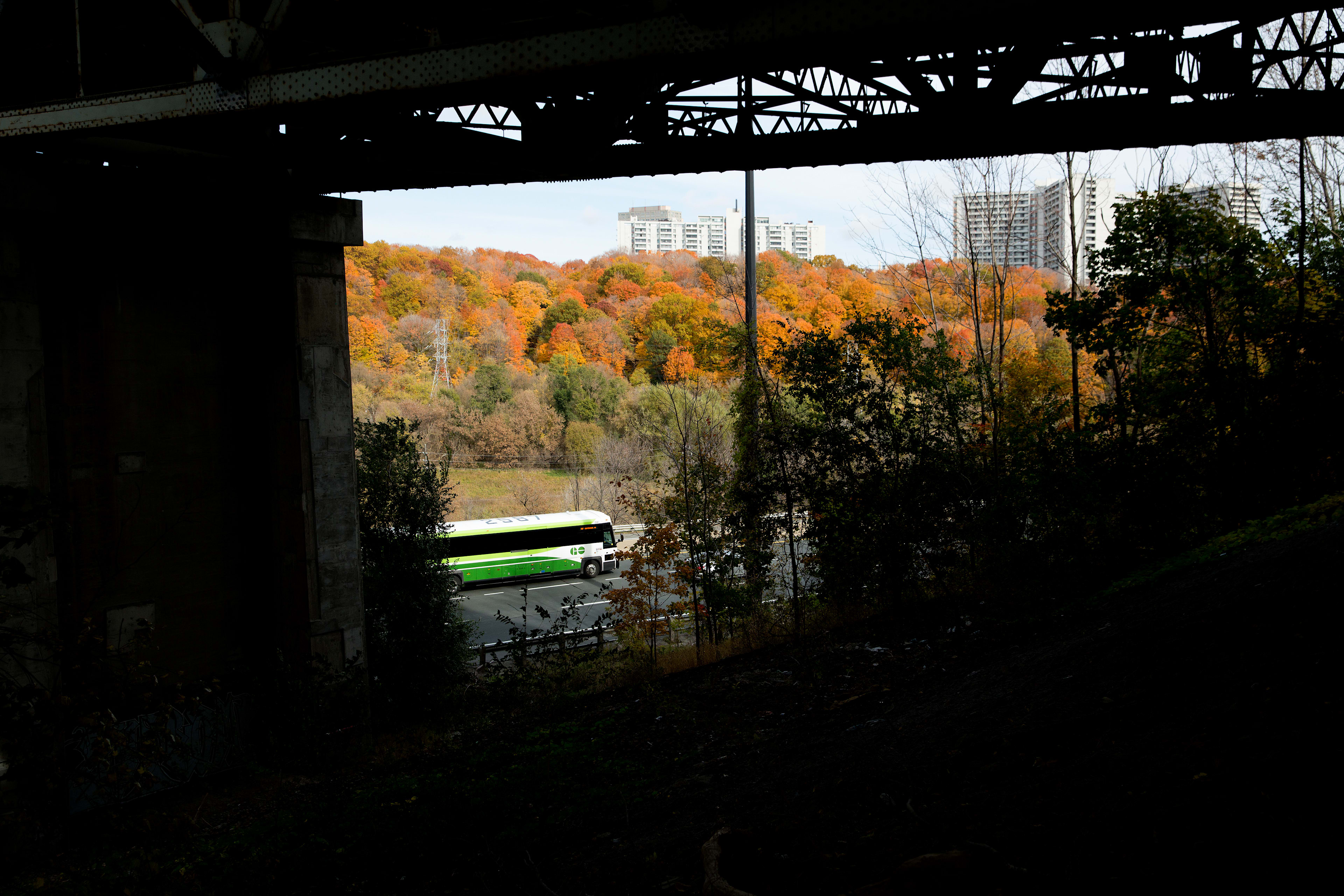 GO Transit during Fall or Autumn season
