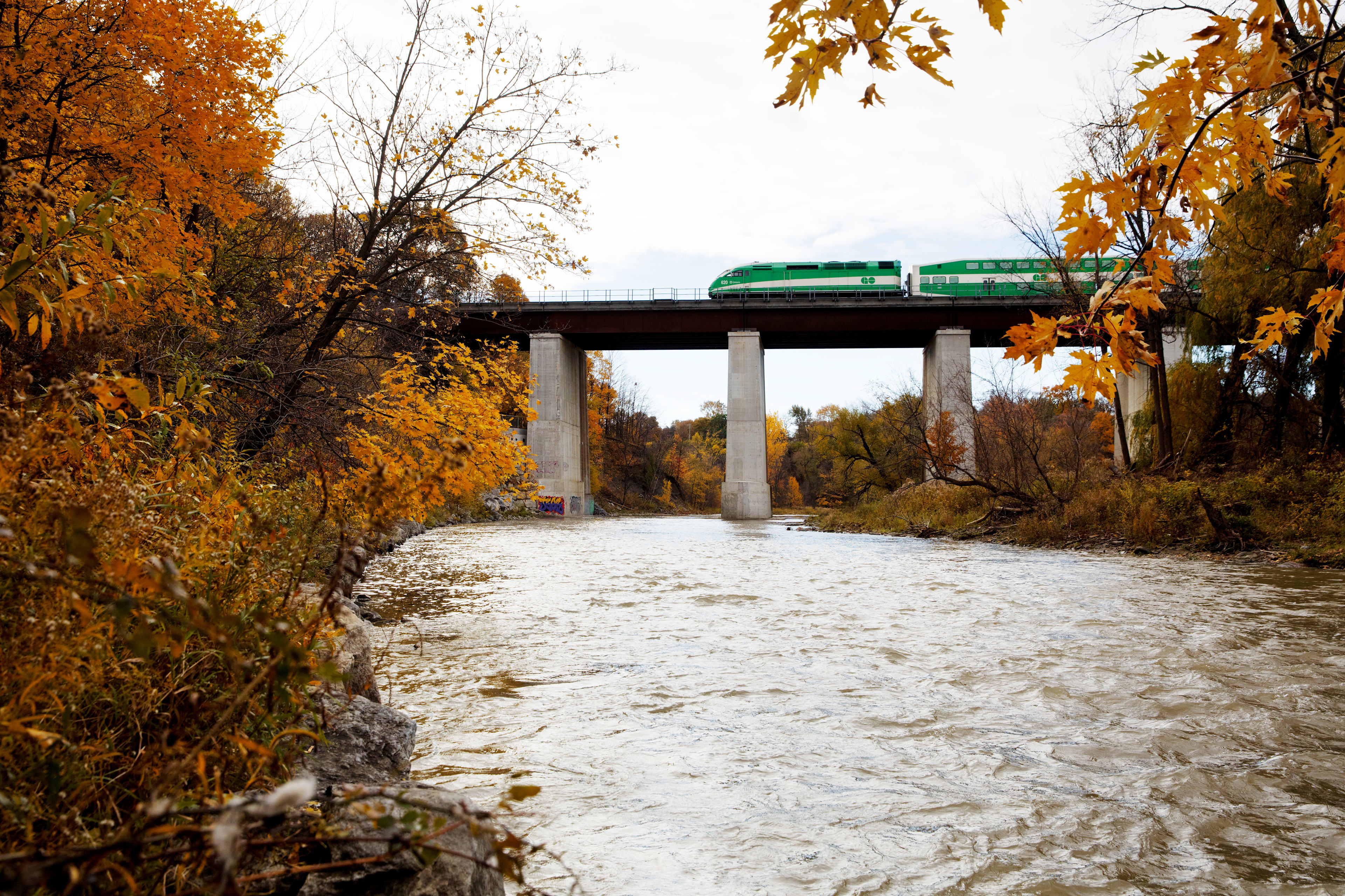 GO Transit during Fall or Autumn season