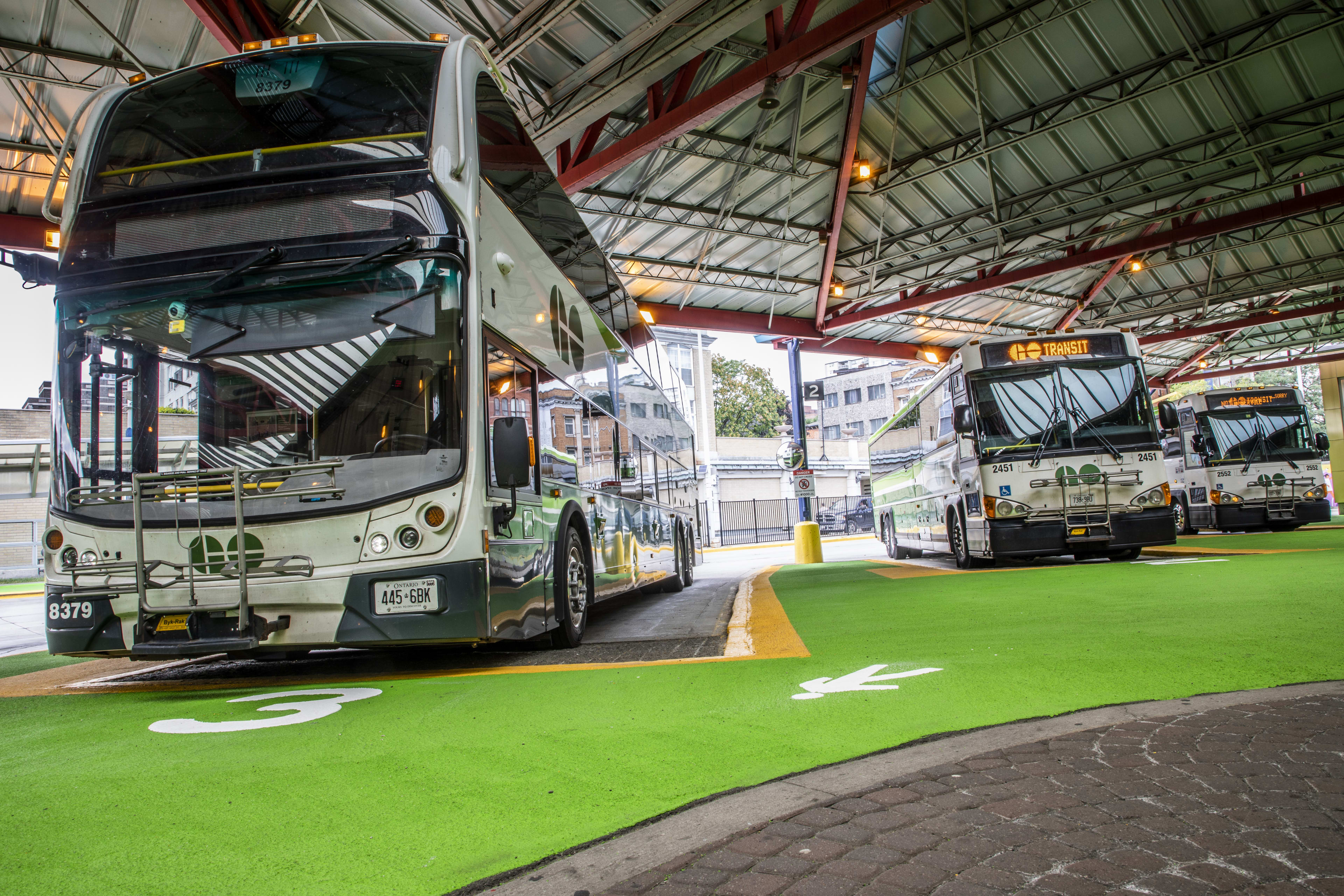 Three GO buses sit parked at the Hamilton station. In front of them, green paint covers the areas...
