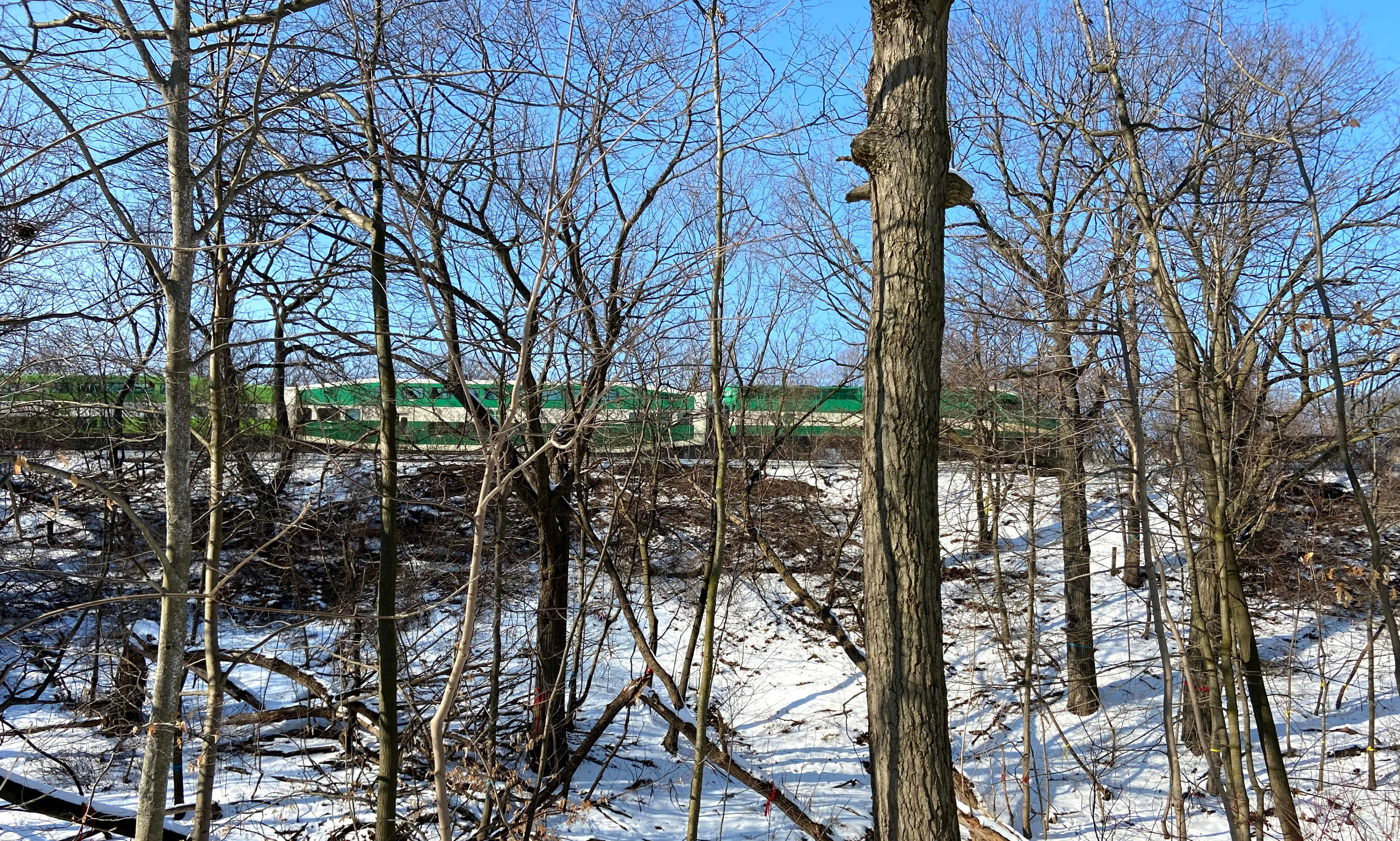 A GO Train travels along the Lakeshore East corridor just beyond the ravine. (Metrolinx photo)