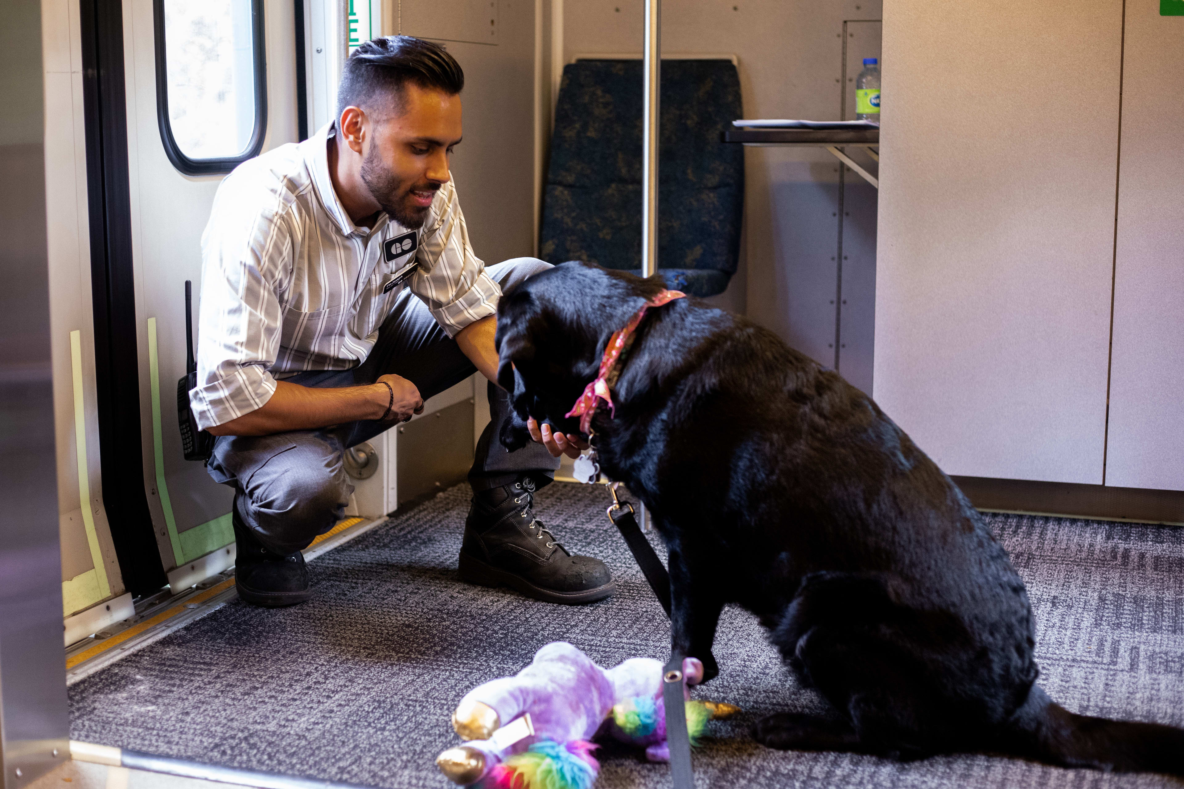 A GO Customer Service Ambassador pets Penny the dog.