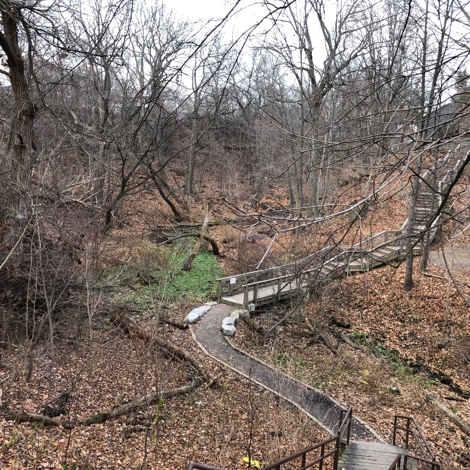 a wooded area with wooden stairs and pathways.