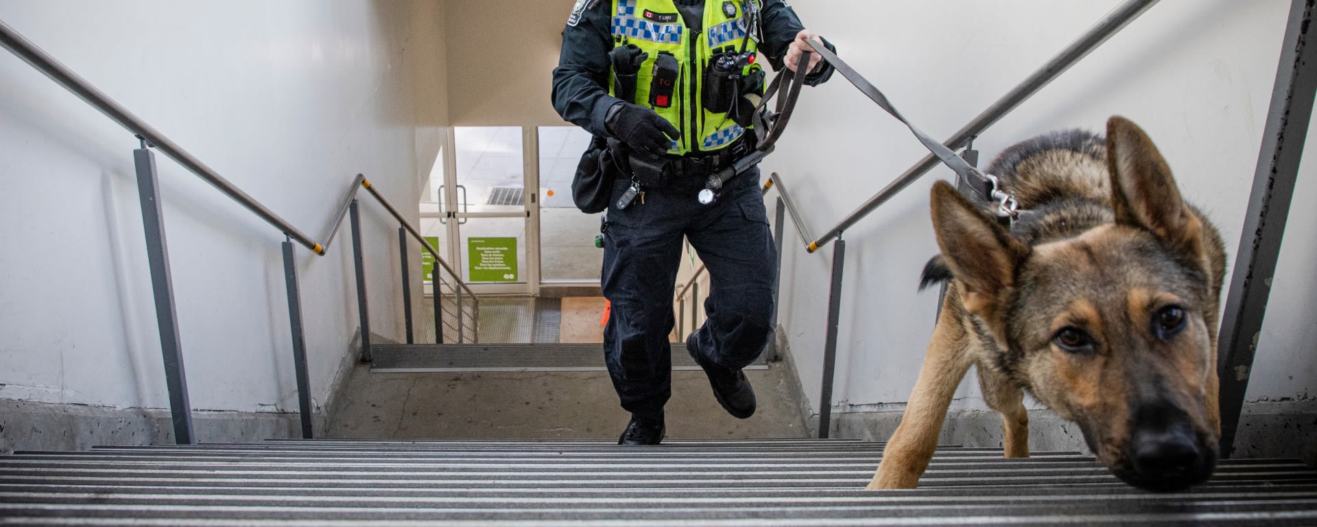 Customers will soon see Special Constable Tyler Long and his K9 partner Dougie around transit.