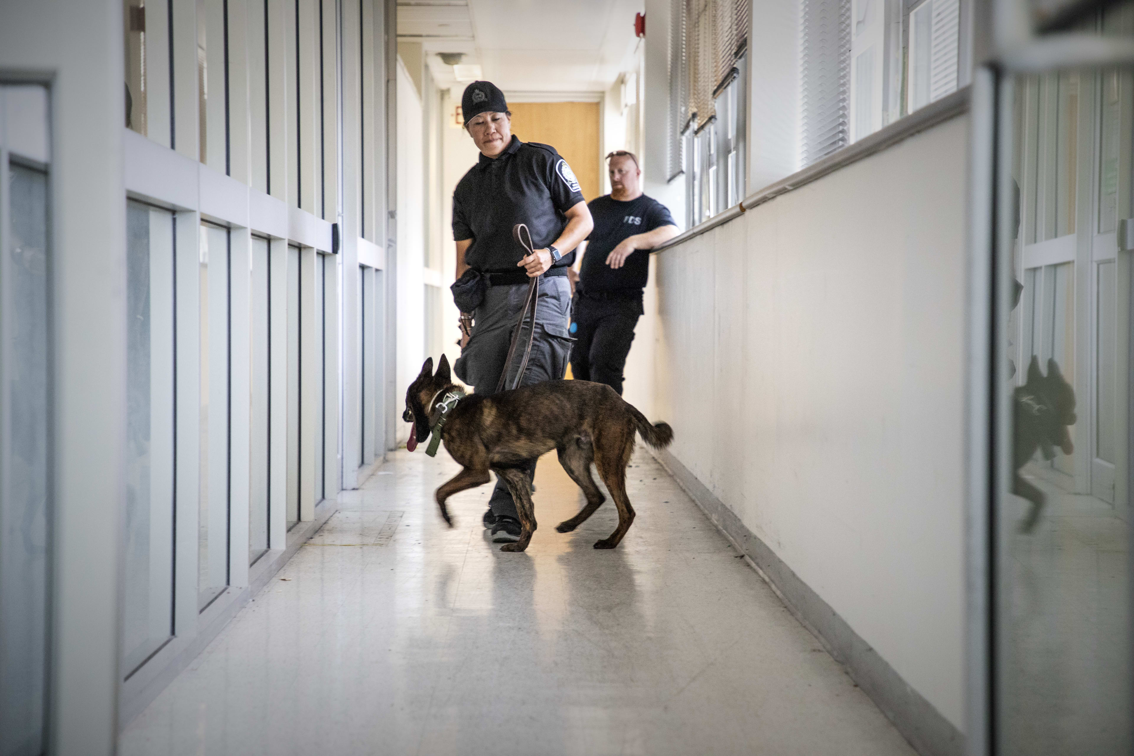 Raiden and his handler are seen patrolling a hallway.