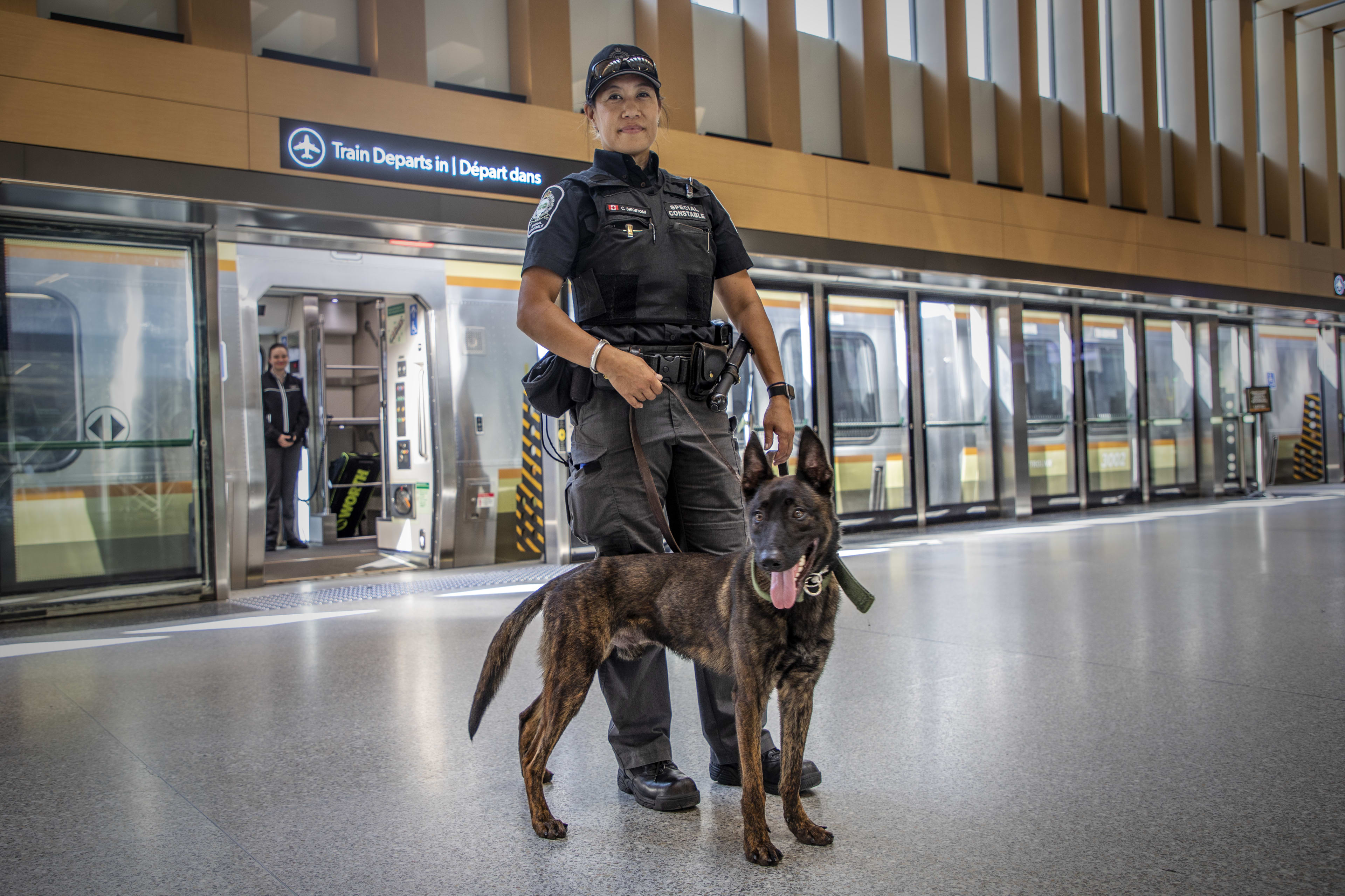 Transit Safety Officer Cindy Shigetomi and her K9 partner Raiden at the