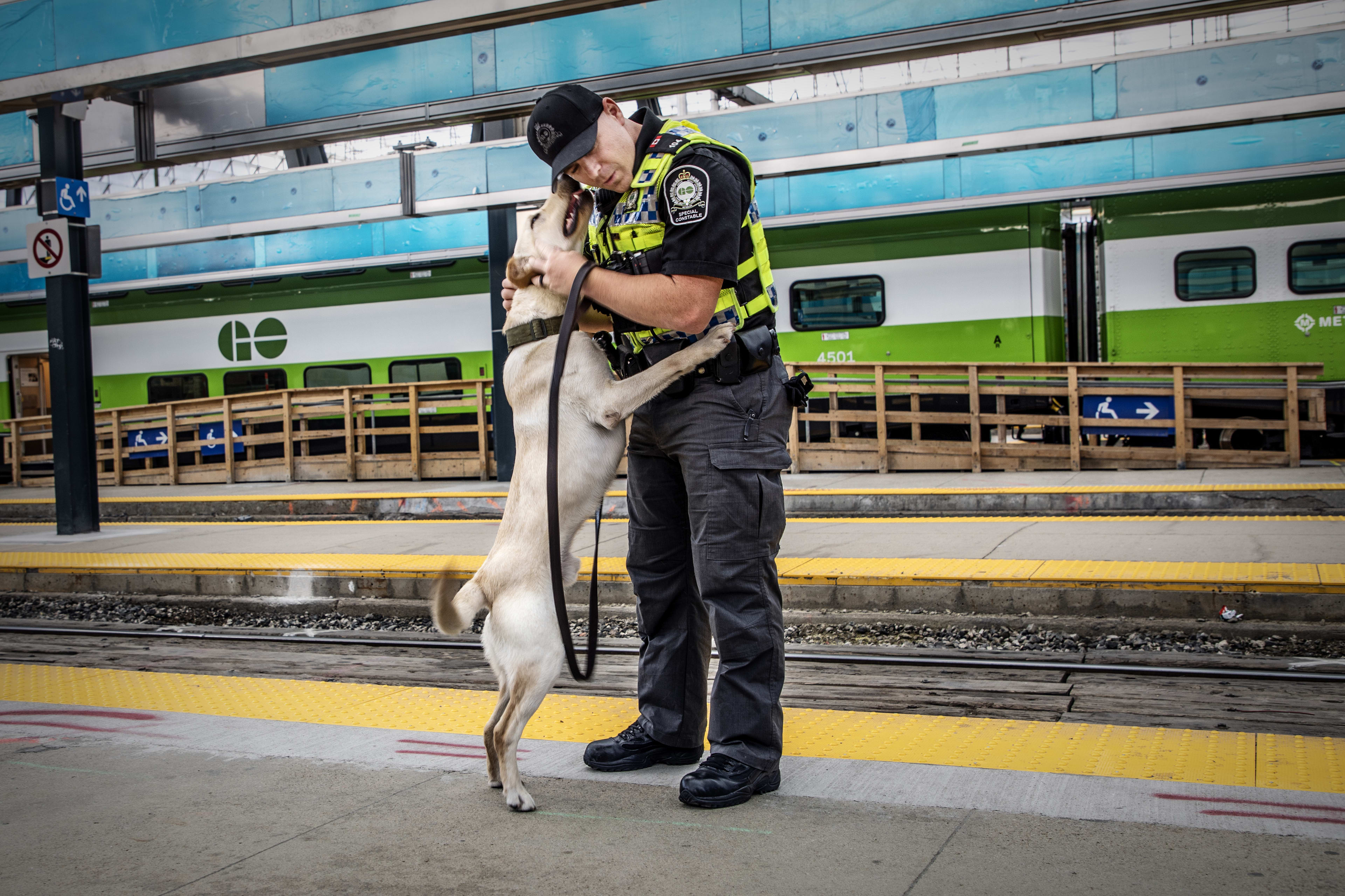 Dash jumps up to lick Officer Hoffman.