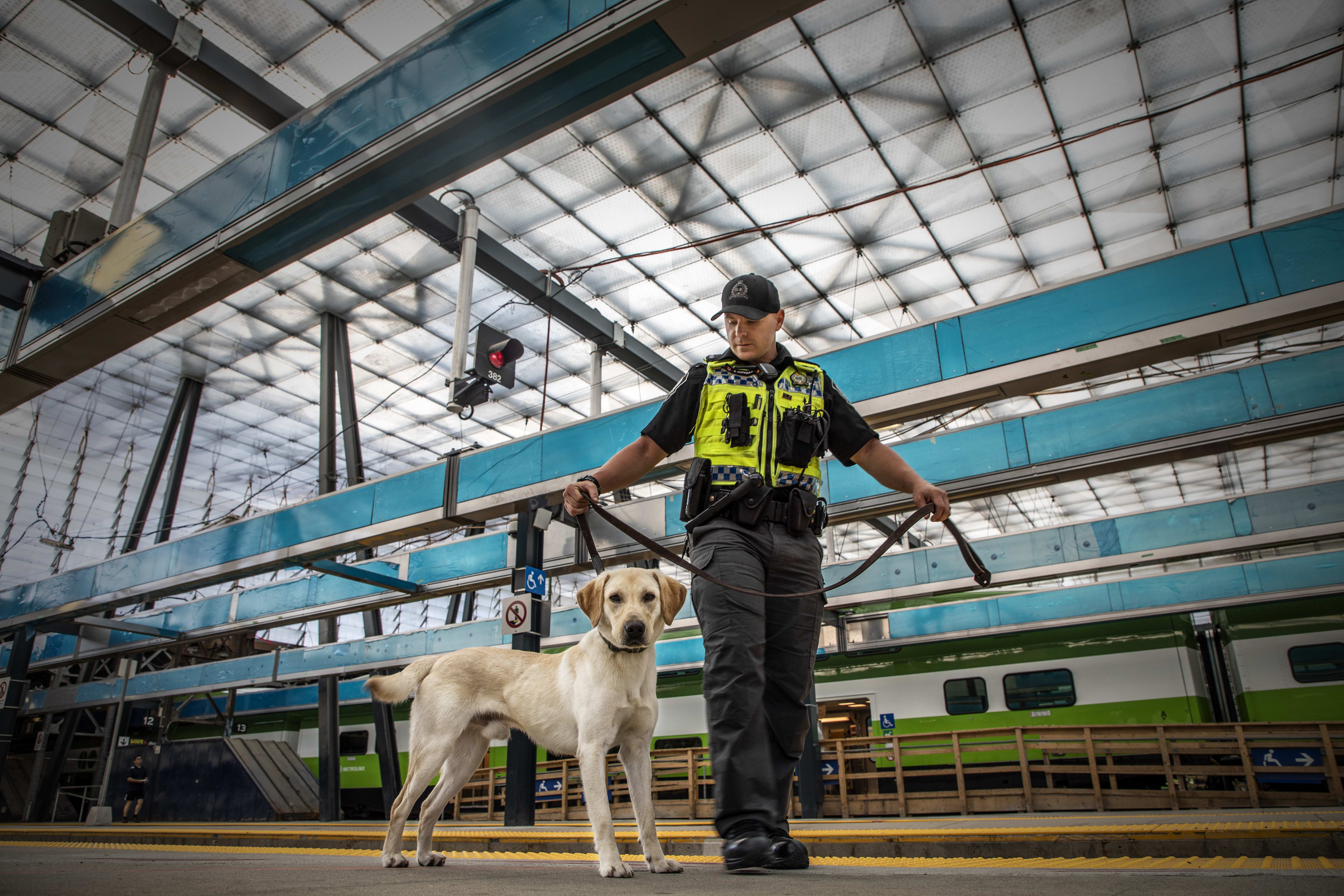 Dash and Officer Hoffman pose near GO trains inside Union Station.