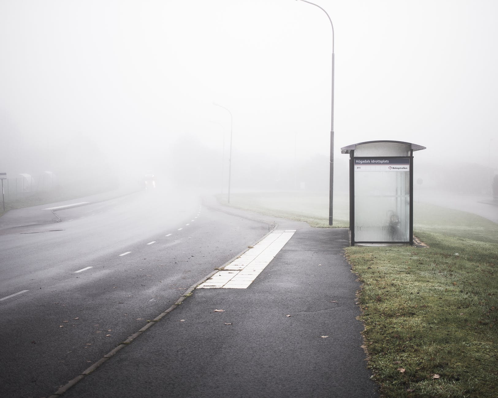 empty road with fog