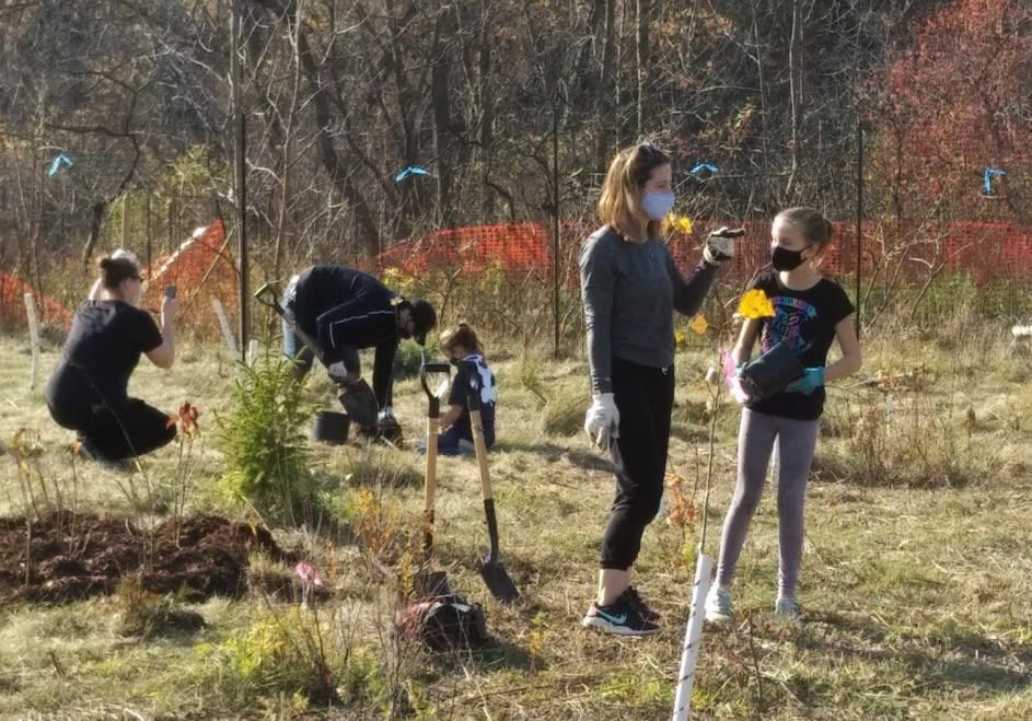 Local Girl Guides and their families help with tree planting efforts in Etobicoke