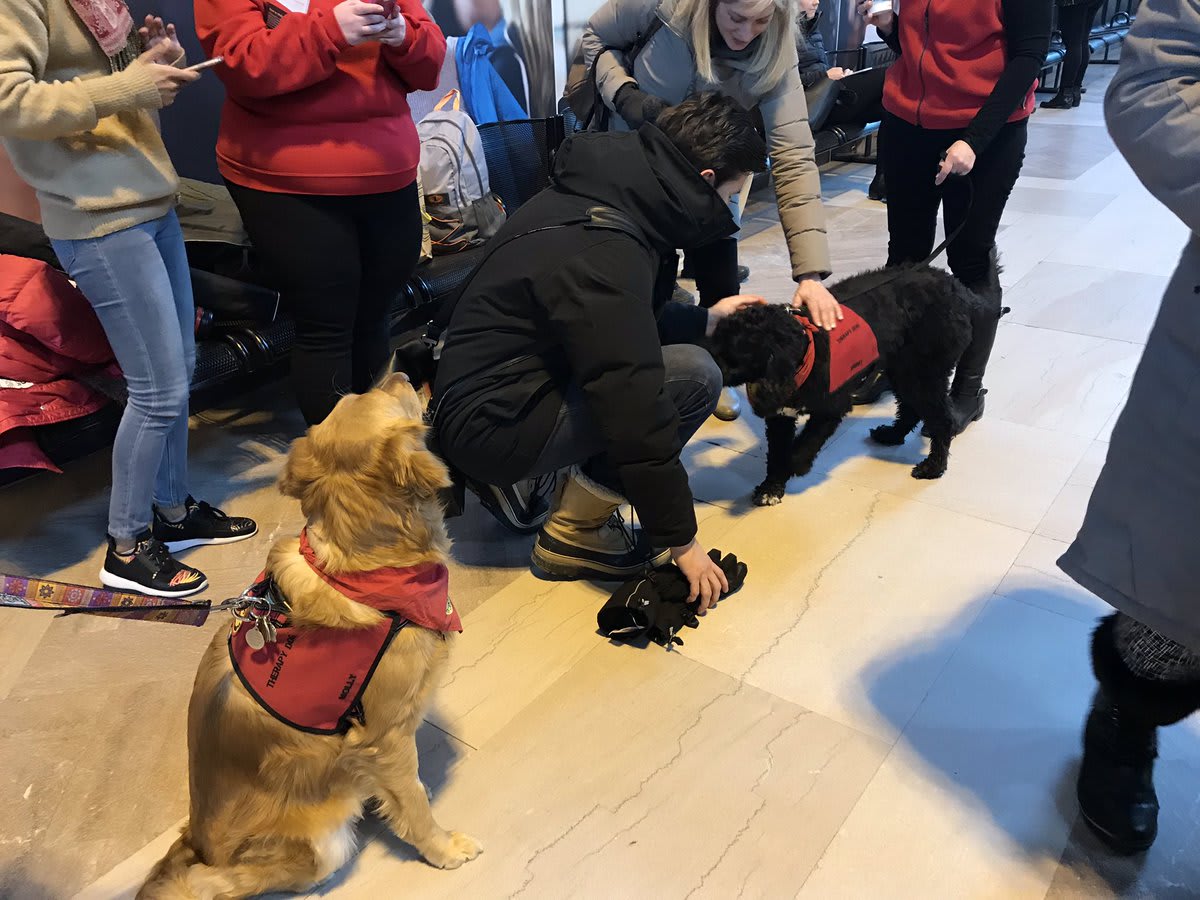 Customers stand around and pat a group of dogs, as they gather at Union Station.
