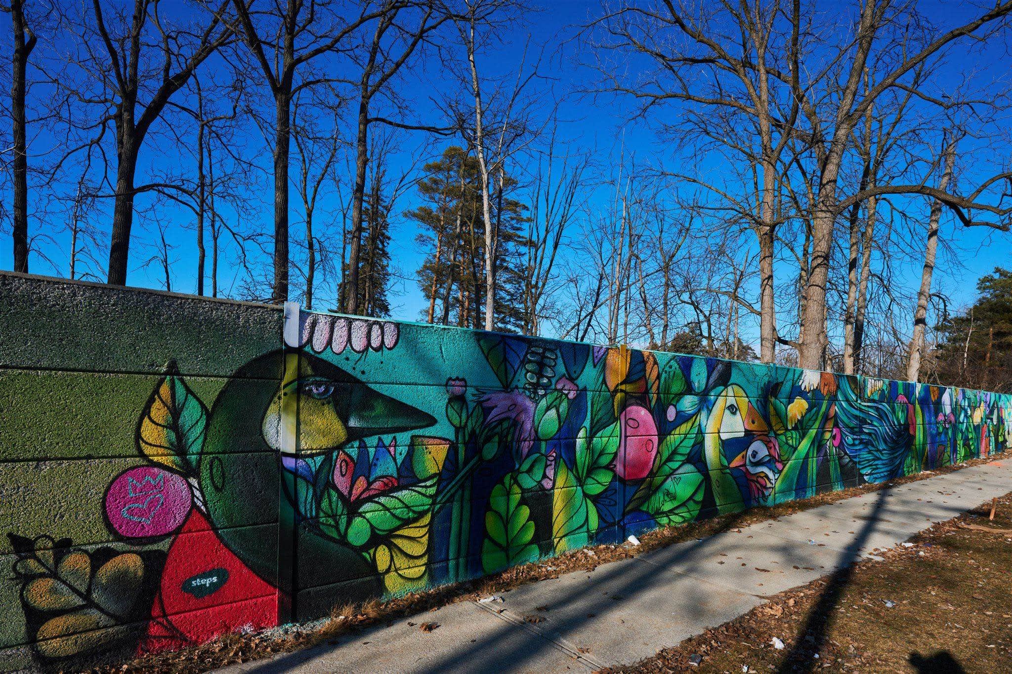 a section of the wall.
