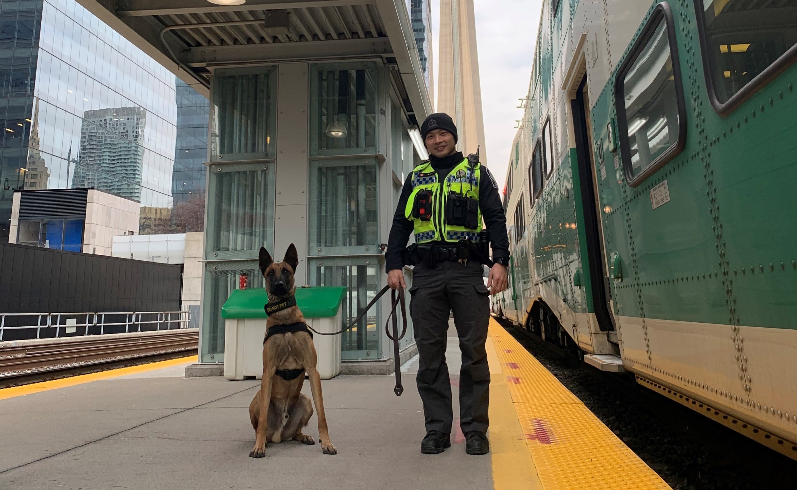 oficer Ng holding the leash of Tango, who sits on an outside platform.