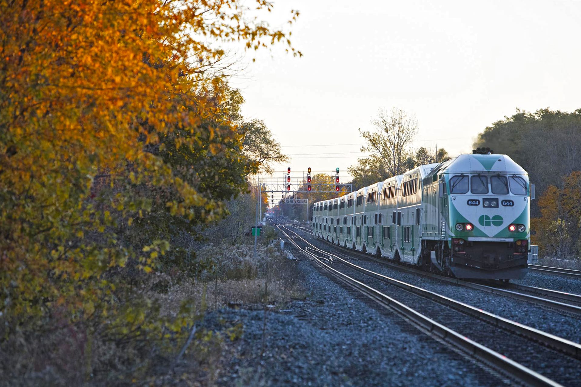 Autumn Fall GO Train