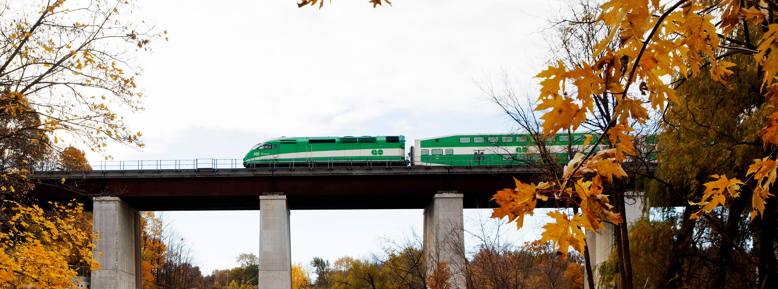 GO Train Fall Banner Cropped