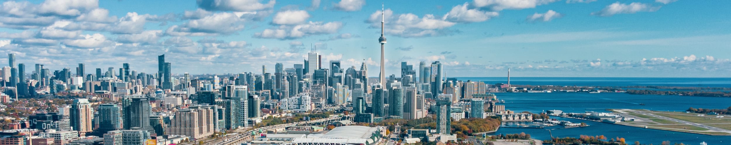 New toronto banner