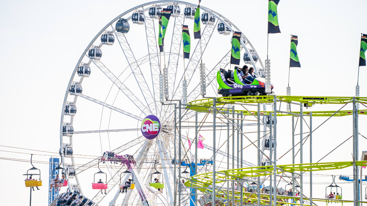 Make the most of CNE with UP's CNE 2025 guide