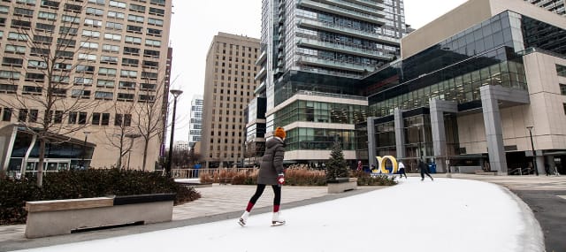 Free skating in downtown Toronto at the Barbara Ann Scott outdoor skating trail