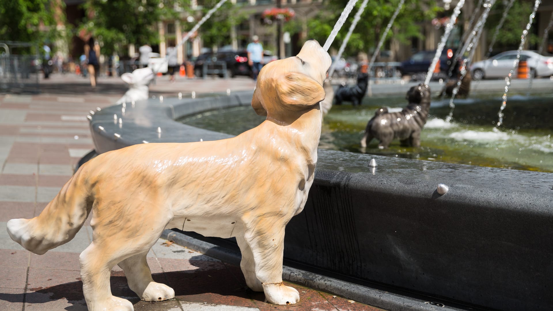 Dog statute at Bercyz Park in Toronto