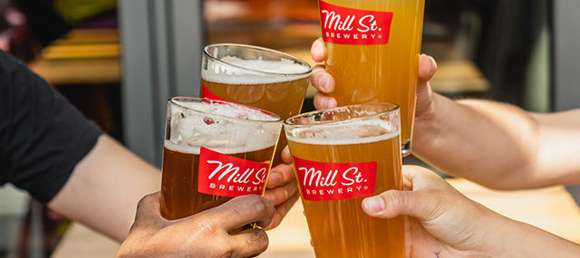 A group of four handing holding glasses of Mill Street beer together.