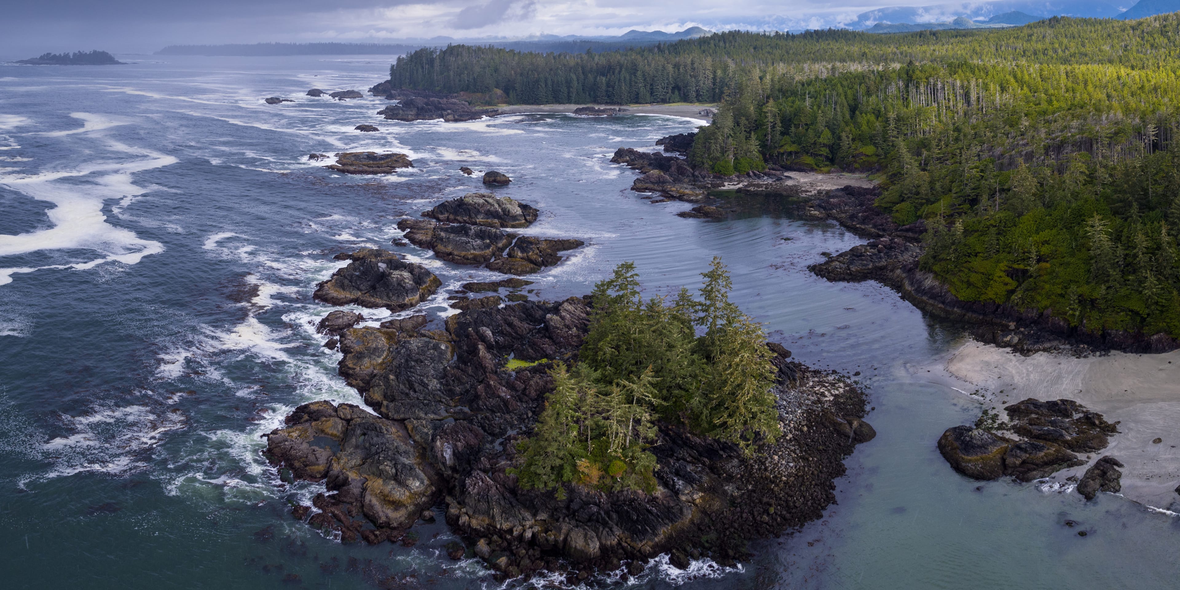 Island coast with pine trees on the coast of Vancouver Island