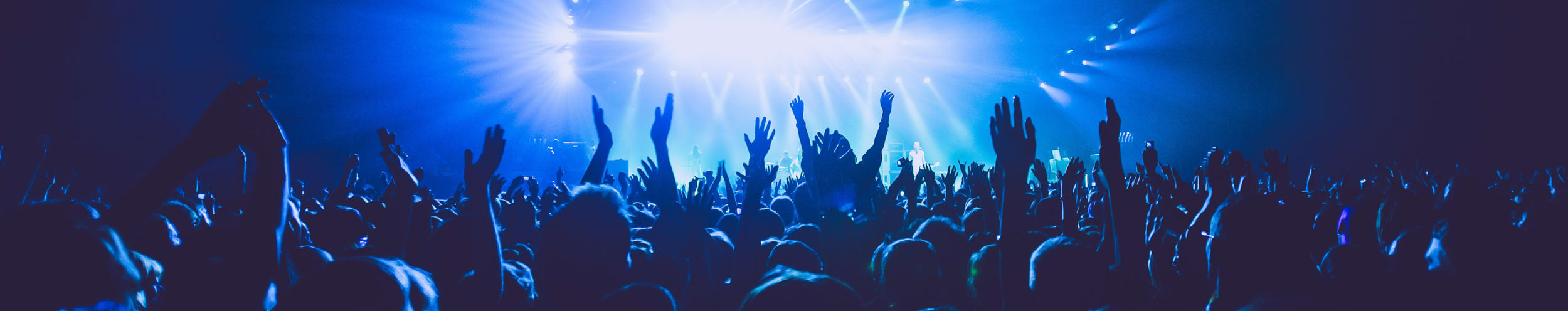 concert banner
