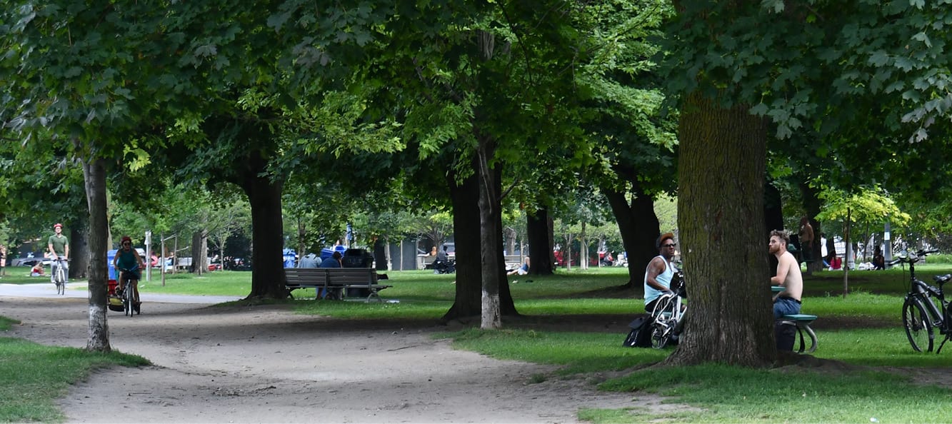Trinity Bellwoods park with dirt path with three large trees