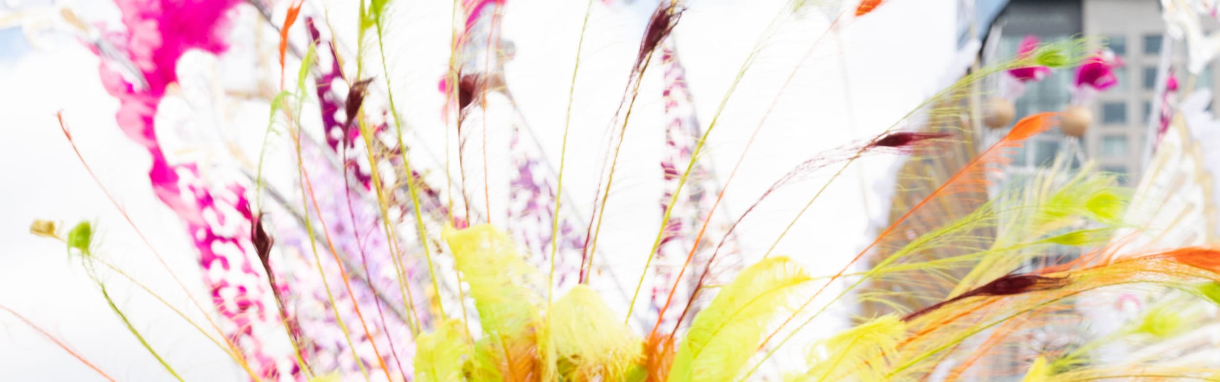 Caribbean Carnival Feathers