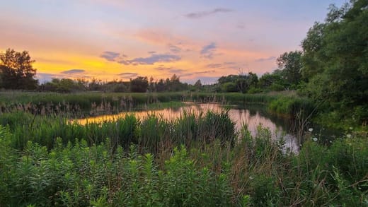 Rouge National Urban Park