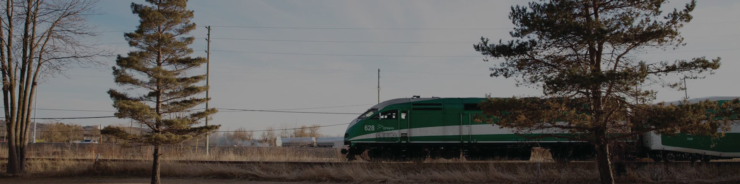 GO Train next to trees.