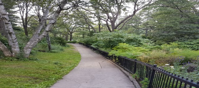 Image of trails near Toronto