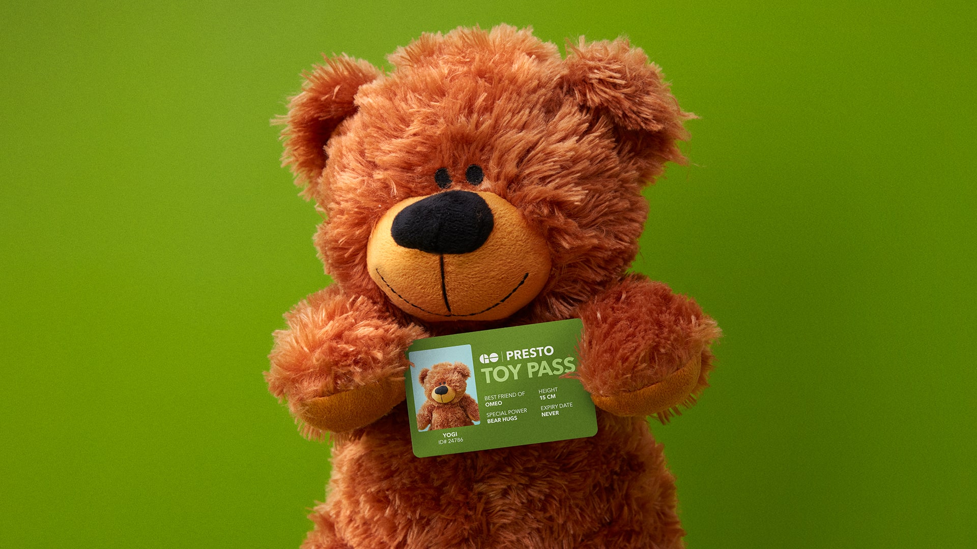 Stuffed Teddy Bear holding GO Toy Pass, create now button