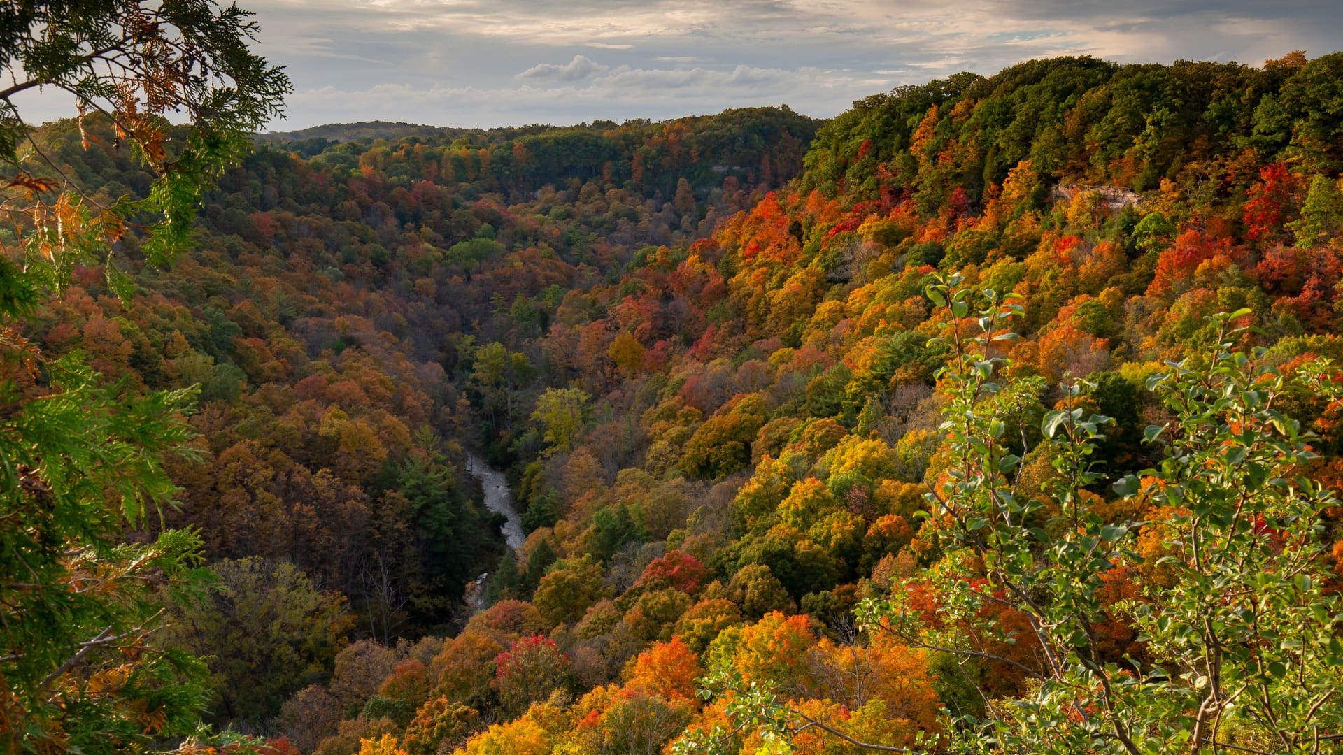 Dundas Peak in Hamilton, Ontario with fall foliage colours